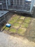 140603_1035~01.jpg